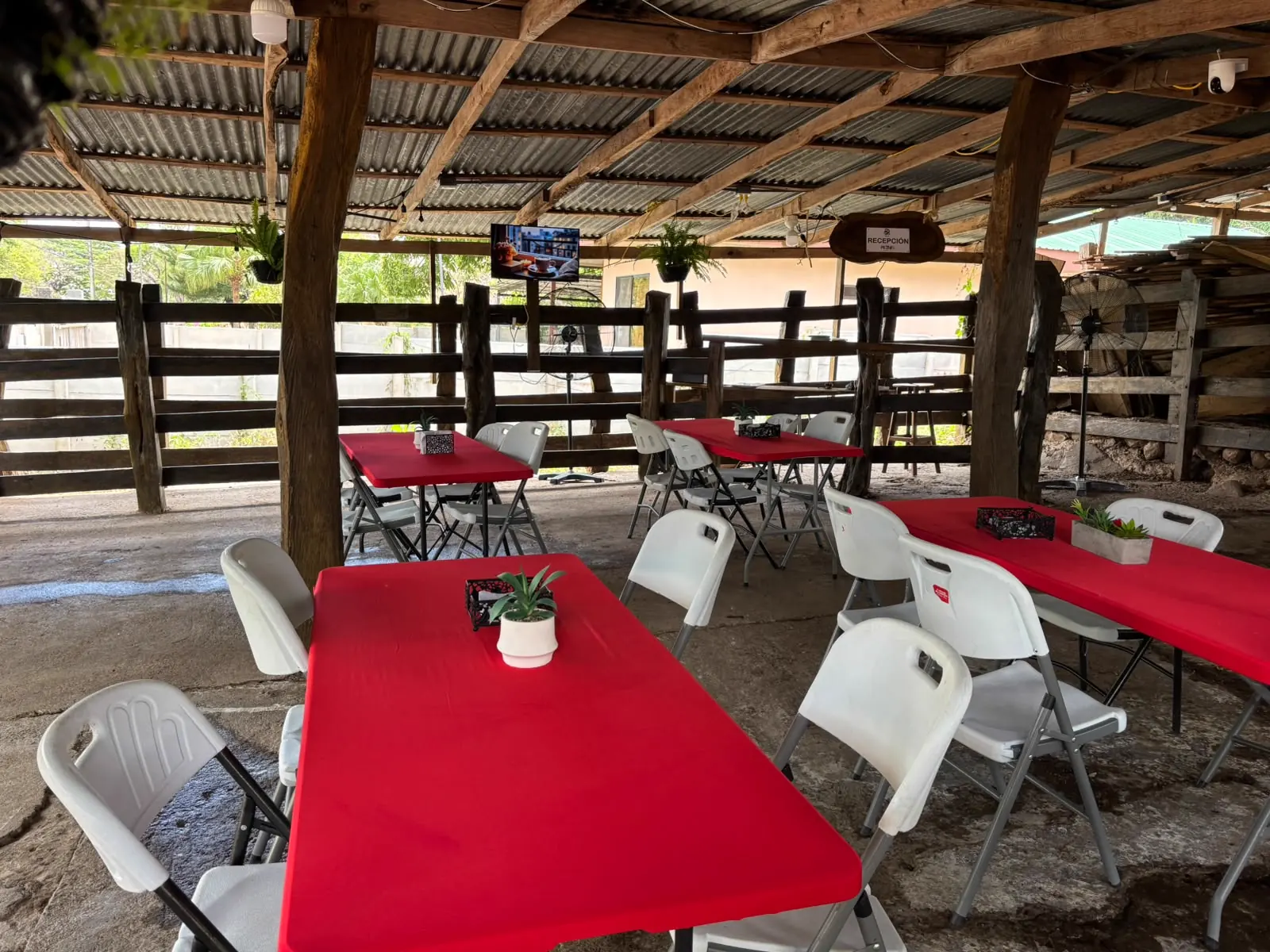 Espacio y tradición del restaurante Petro's